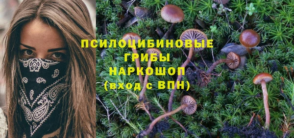 дурь Абаза
