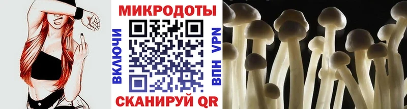 Псилоцибиновые грибы мухоморы Лакинск